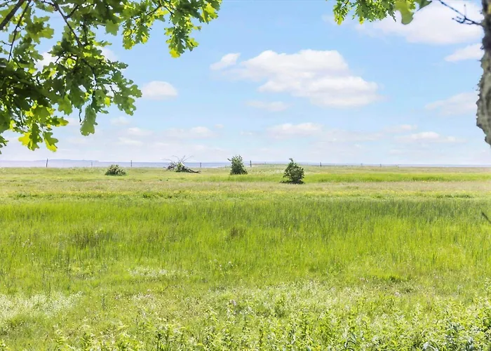 Prázdninový dům Lf18127-veslos-livovej-29 *